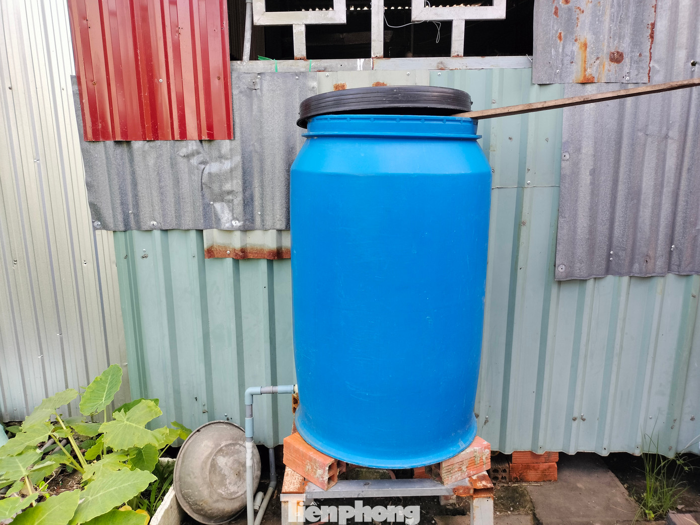 Người dân phải lắng đọng hay lọc nước vào bồn rồi mới dám dùng nấu ăn.