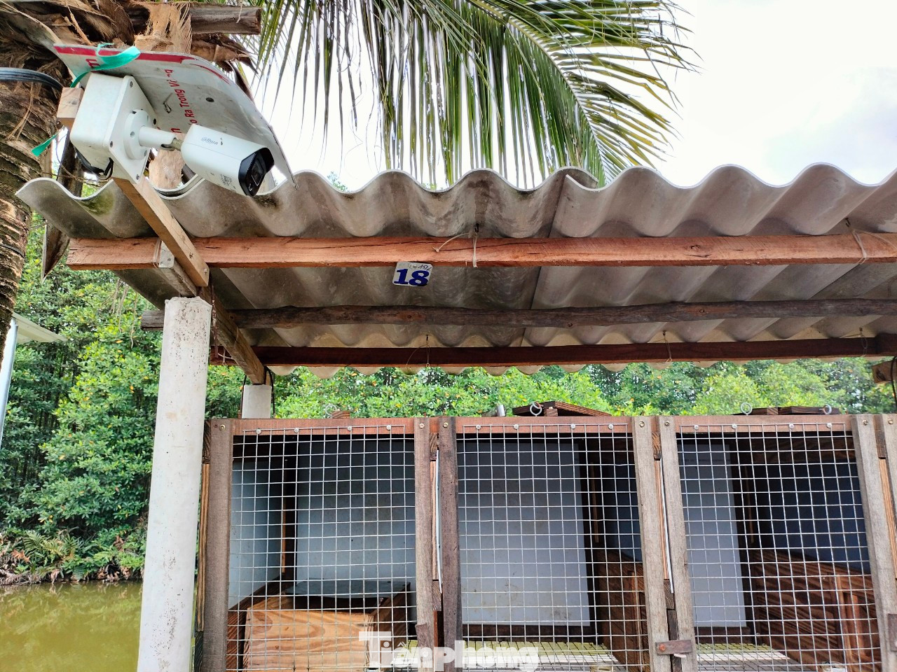 Mặc dù người dân lắp camera quan sát nhưng chỉ hạn chế được một phần nạn trộm chồn. Mặc dù người dân lắp camera quan sát nhưng chỉ hạn chế được một phần nạn trộm chồn.