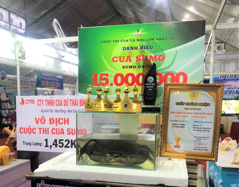 Cua Sumo được trưng bày tại Ngày hội Cua Cà Mau để du khách tham quan chiêm ngưỡng. Cua Sumo được trưng bày tại Ngày hội Cua Cà Mau để du khách tham quan chiêm ngưỡng.