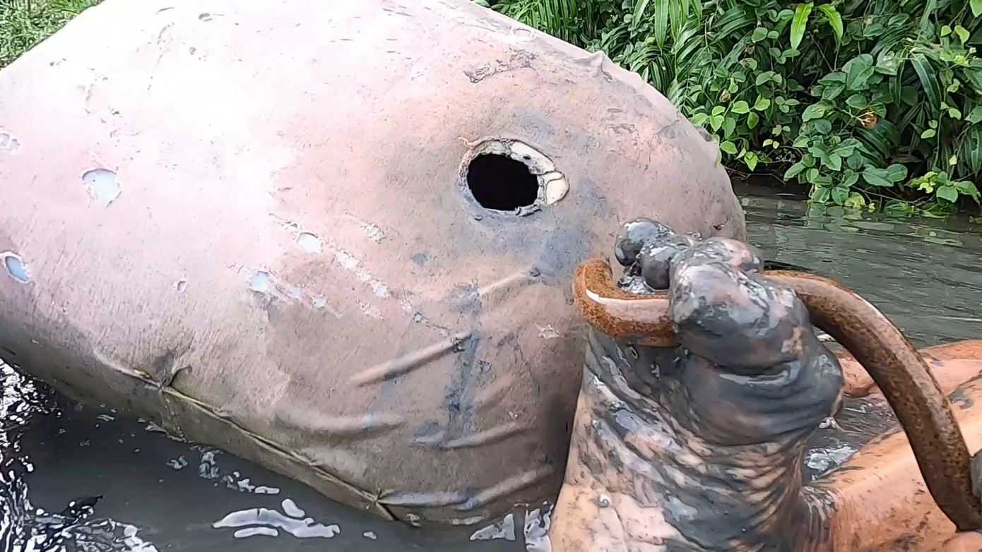 Ở những nơi nước sâu, tay không với tới, ông Bảy Quyền dùng chân để bắt lịch. Một chân của ông sẽ chặn đầu hang, chân còn lại luồn theo các ngõ ngách trong hang để lúc lịch bò ra khỏi miệng hang là ông dùng các ngón chân tóm gọn.