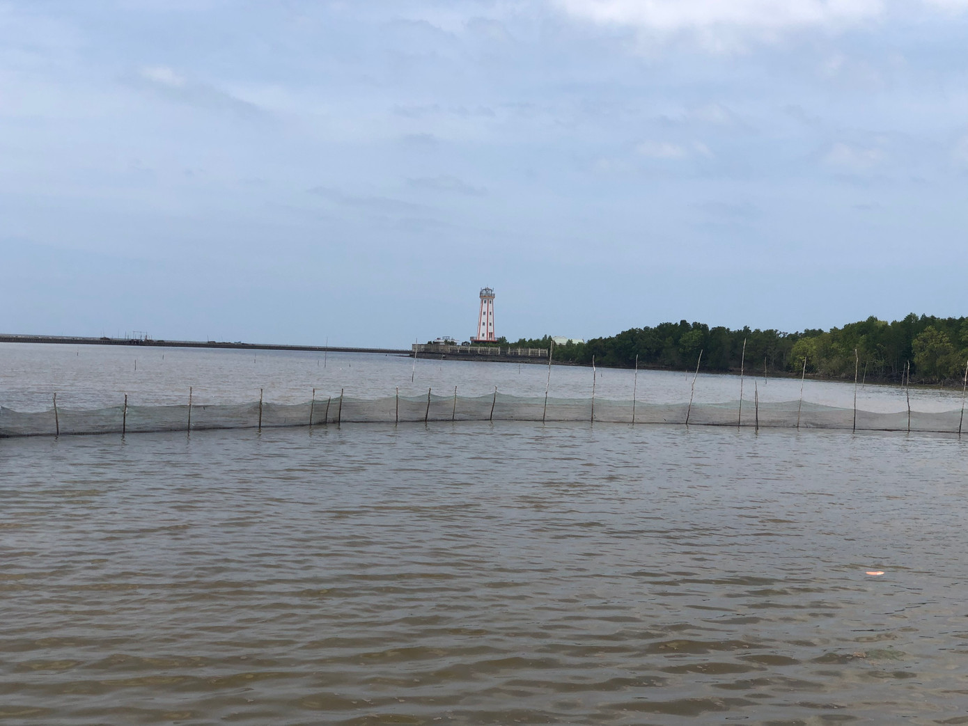 Người dân dùng lưới mành bao chiếm nuôi sò huyết trái phép. Người dân dùng lưới mành bao chiếm nuôi sò huyết trái phép.