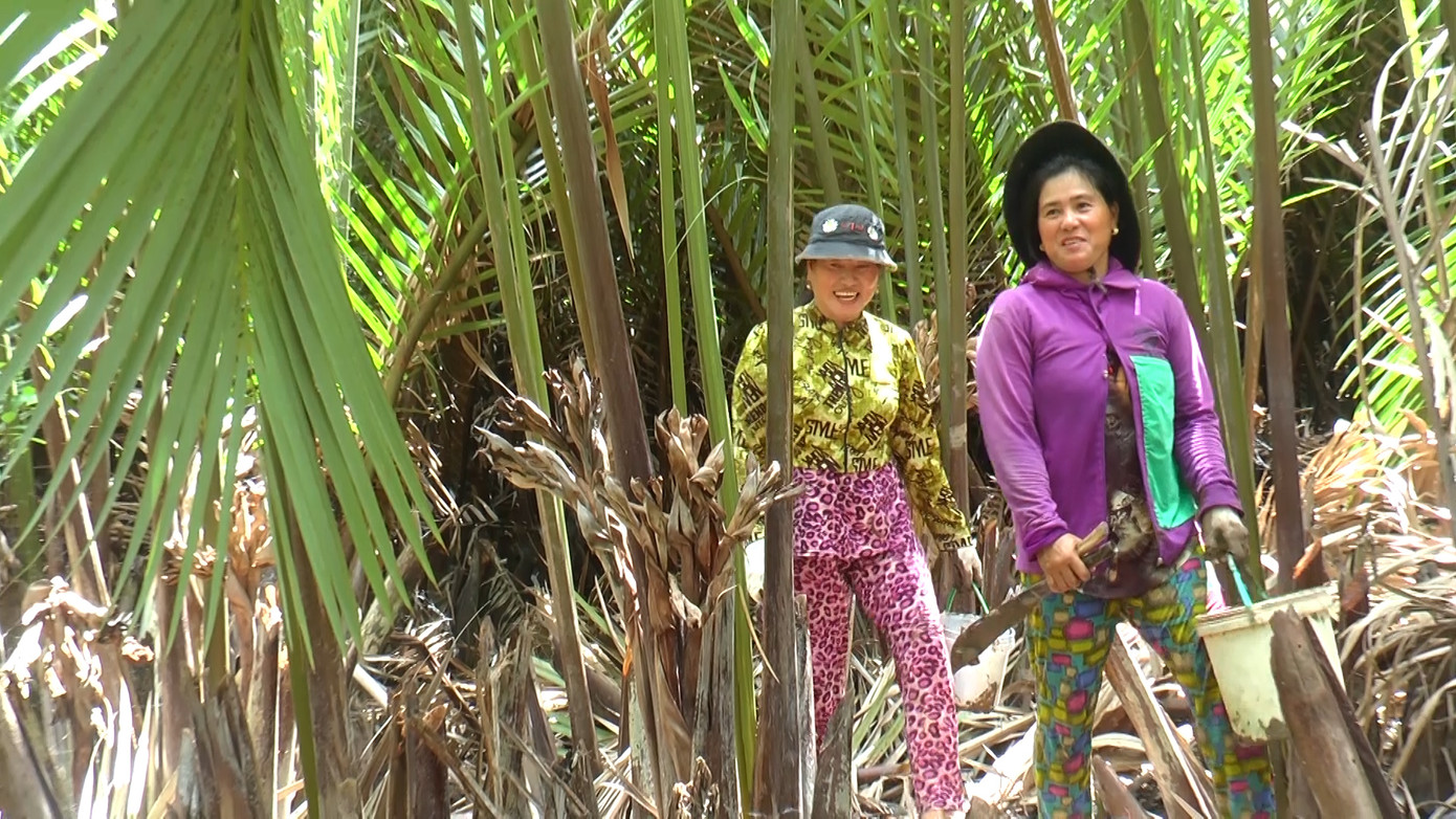 Tại xã Thanh Tùng, huyện Đầm Dơi, tỉnh Cà Mau, hàng chục hộ dân chủ yếu sống bằng nghề bắt chem chép vì có rất ít đất sản xuất. Tại xã Thanh Tùng, huyện Đầm Dơi, tỉnh Cà Mau, hàng chục hộ dân chủ yếu sống bằng nghề bắt chem chép vì có rất ít đất sản xuất.