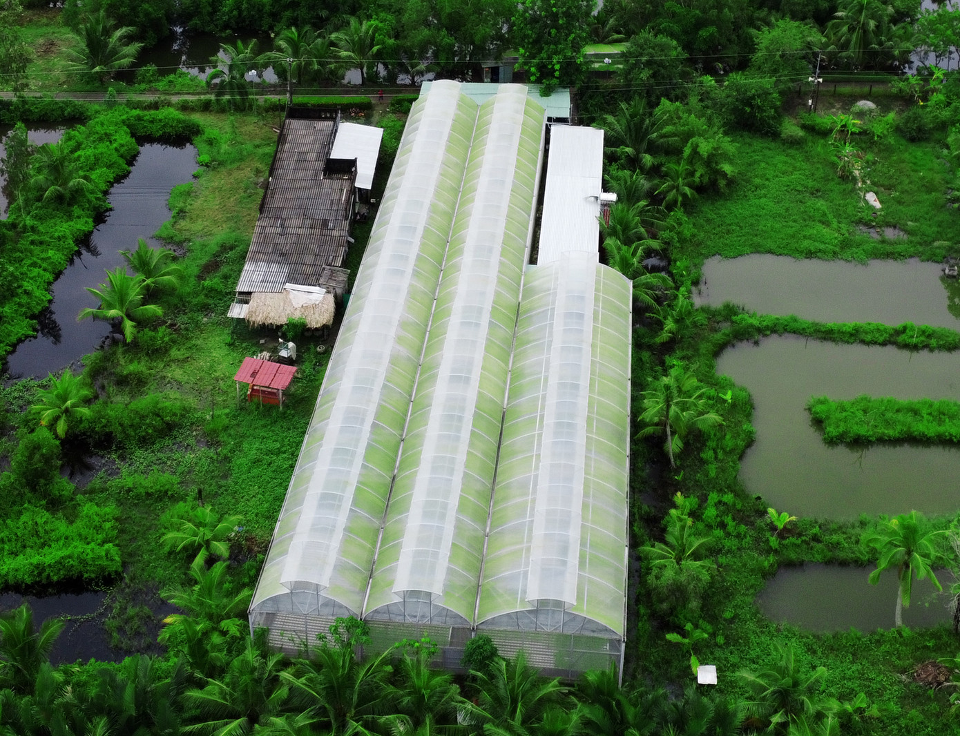 Khuôn viên mô hình trồng rau thủy canh của ông Phạm Văn Biển có vị trí tại ấp 2, xã An Xuyên, thành phố Cà Mau.