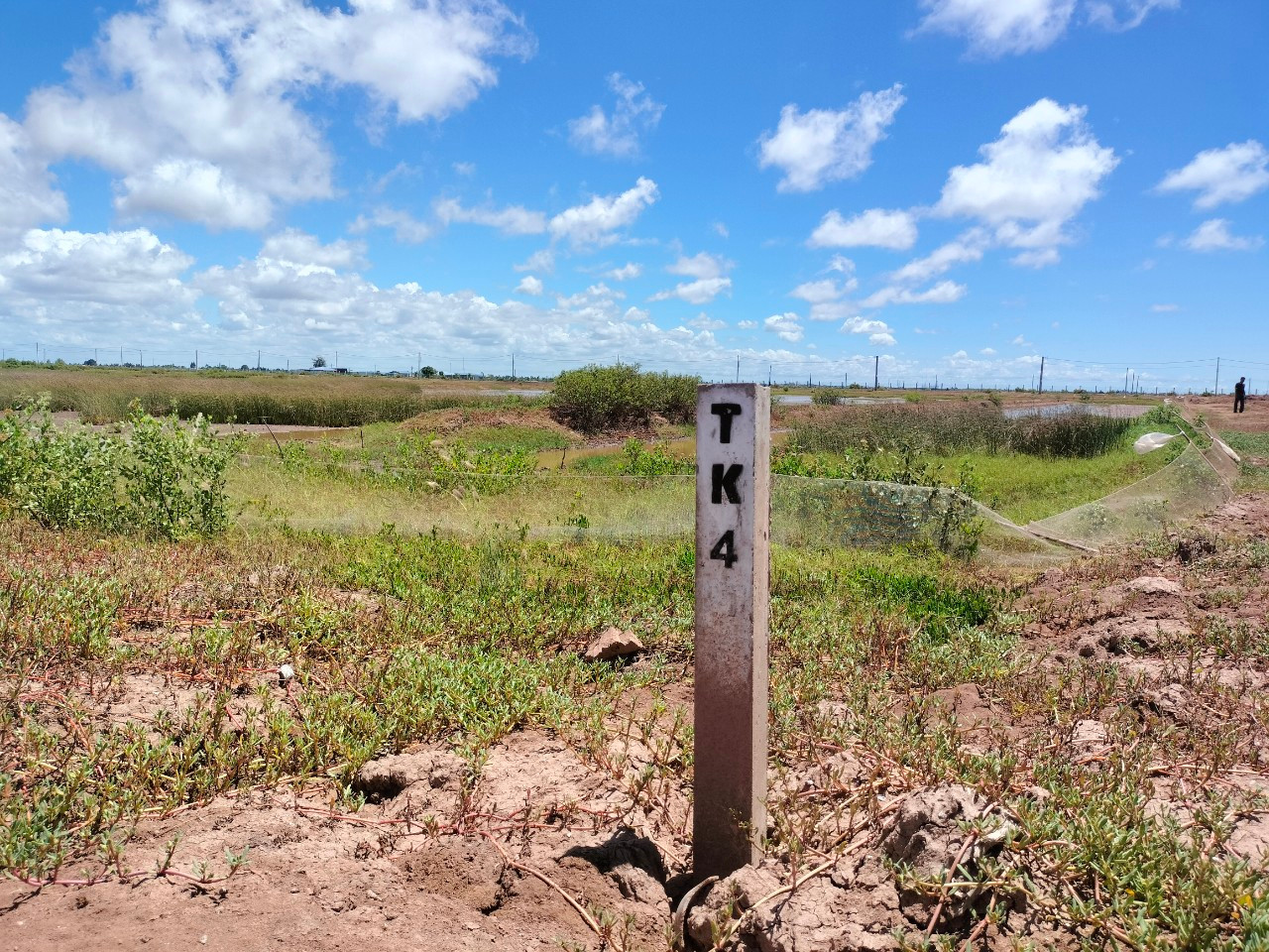 Do chưa được cấp giấy chứng nhận quyền sử dụng đất, các doanh nghiệp vào đầu tư nhận đất xong rồi... để đó.