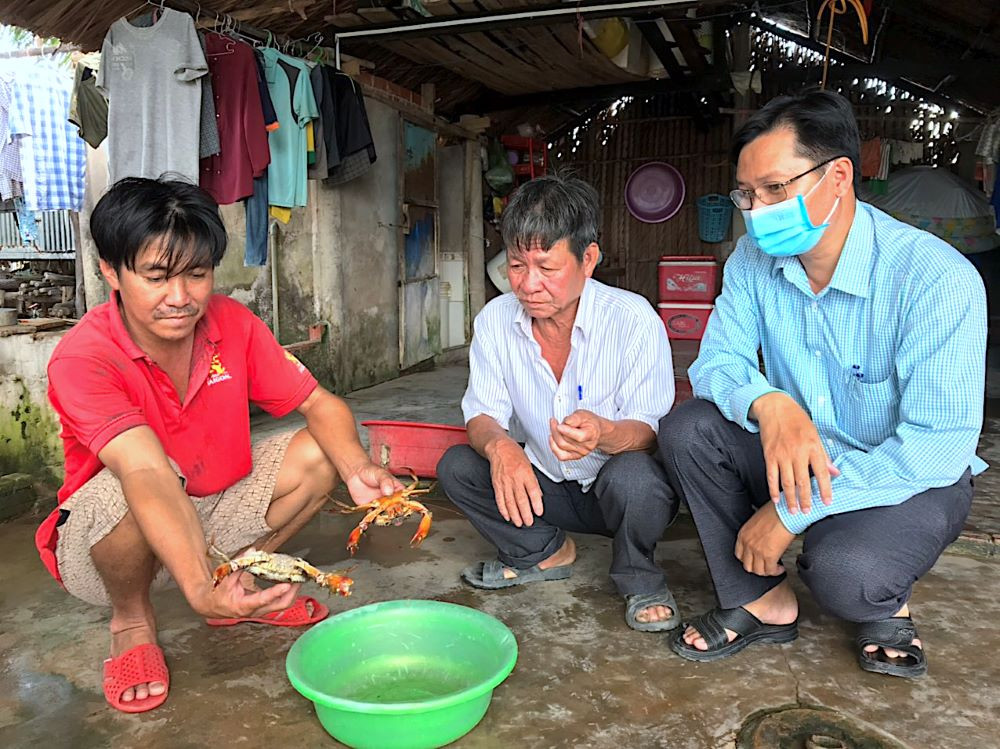 Từ đầu năm 2023 đến nay, người nuôi cua ở Cà Mau gặp tình trạng cua chết rải rác hơn 12.000 ha.