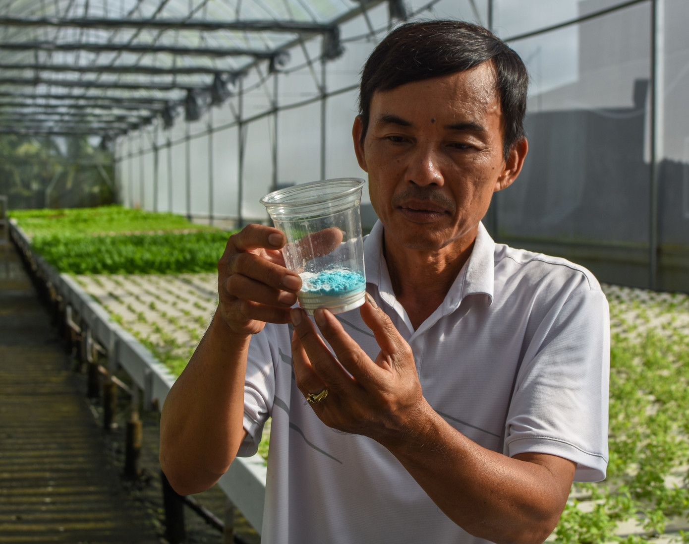 Ông Phạm Văn Biển là thạc sĩ quản trị kinh doanh và cũng từng tốt nghiệp đại học chuyên ngành kinh tế. Trước khi về làm vườn, ông Biển đảm nhận chức vụ Giám đốc Trung tâm Viễn thông Đầm Dơi (huyện Đầm Dơi, tỉnh Cà Mau).