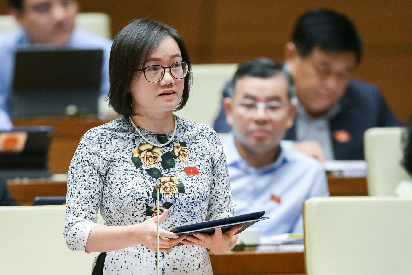 Đại biểu Quốc hội Thái Thị An Chung