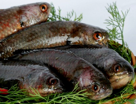 Cá rô Tổng Trường là món tiến vua. Ảnh internet