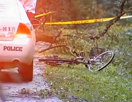 Nữ diễn viên tử nạn vì bị cây đổ đè trúng người ảnh 3