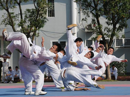 Và các màn biểu diễn võ thuật đẹp mắt