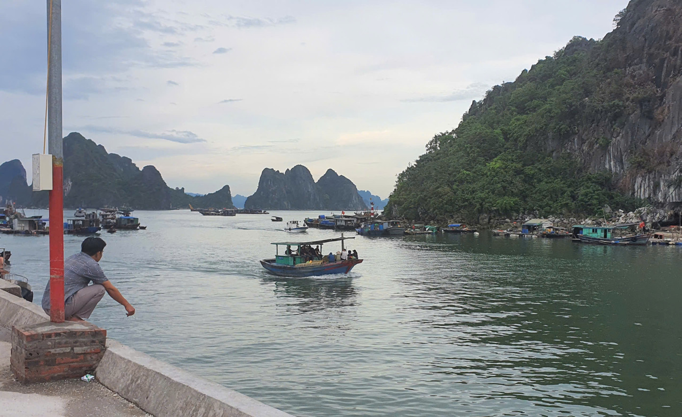 Chờ thời điểm ra khơi