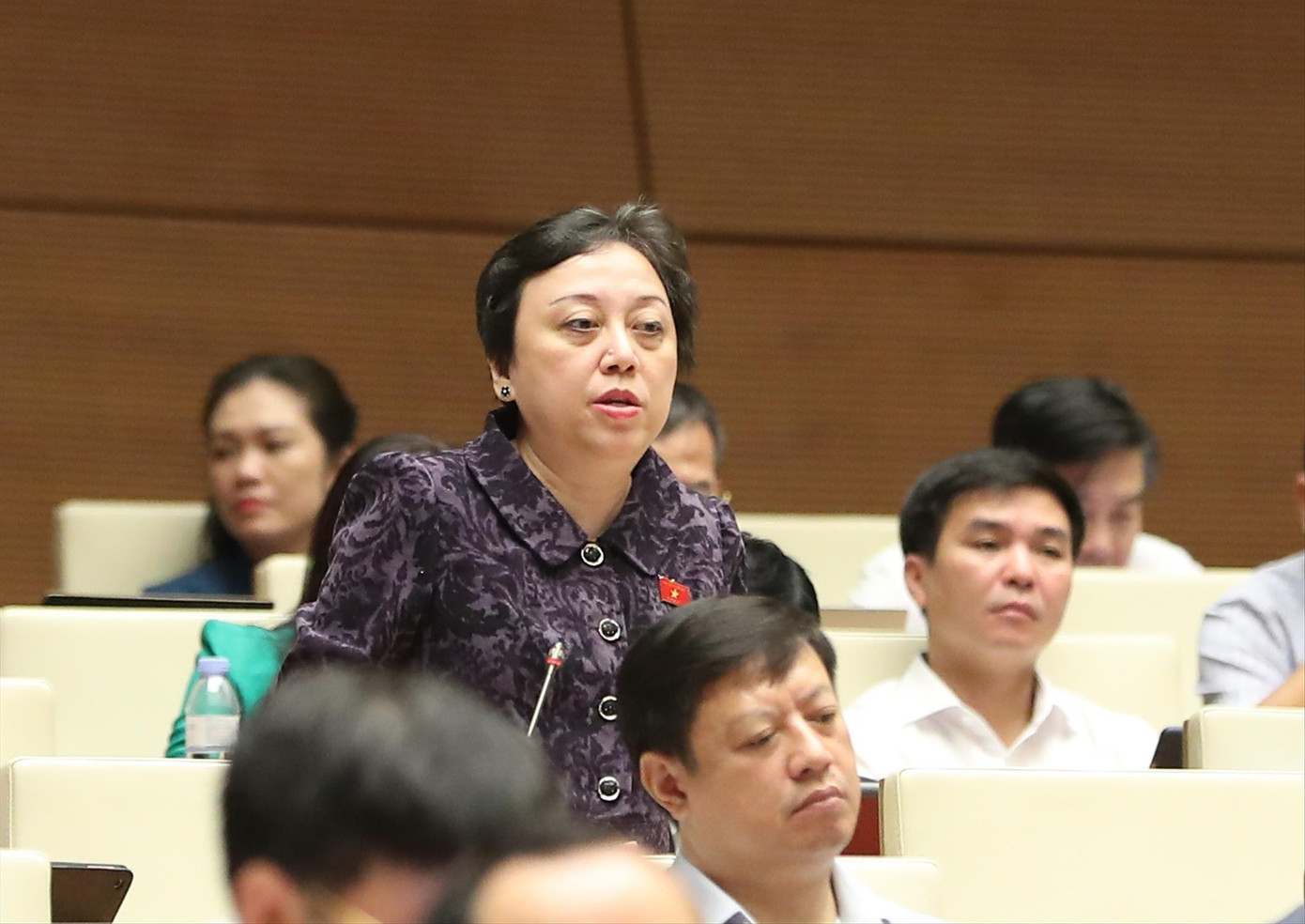 ĐB Phạm Khánh Phong Lan ĐB Phạm Khánh Phong Lan