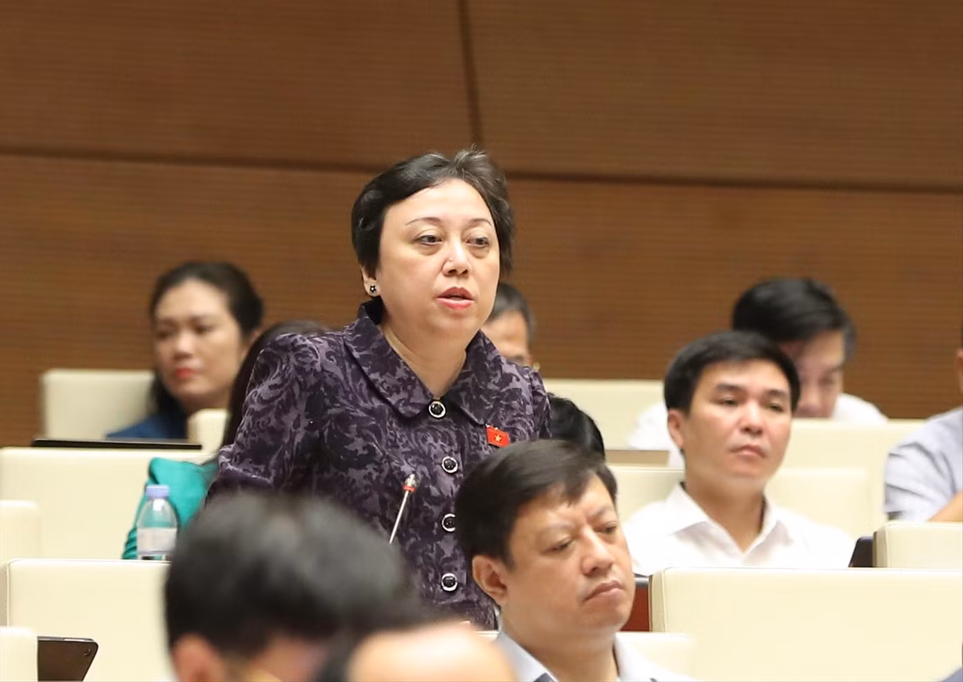 ĐB Phạm Khánh Phong Lan