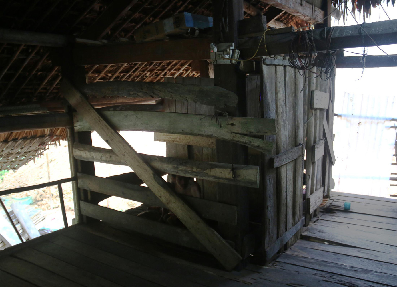 Cũi nhốt chị em Dư, Kỷ Cũi nhốt chị em Dư, Kỷ