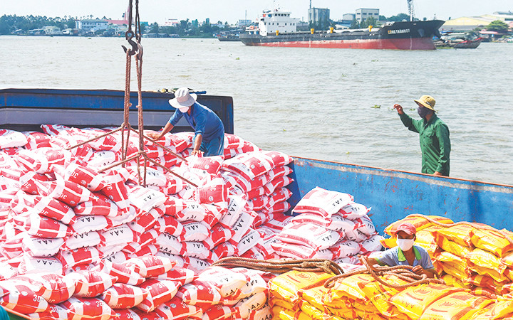 Xuất khẩu gạo năm nay dự báo lập kỷ lục trong vòng 11 năm