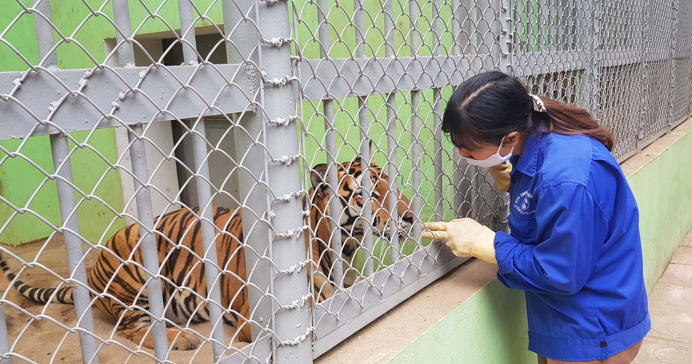 Chị Ngọc chăm sóc Bống và Bi. Ảnh: KIẾN NGHĨA