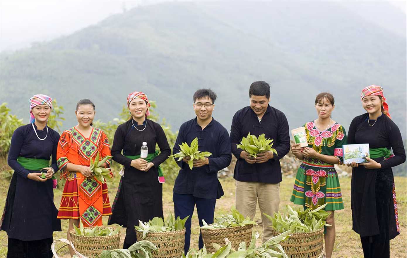 An Văn Tuấn (thứ tư từ trái sang) đã thành công với việc phát triển sản phẩm từ cây đại bi Ảnh: NVCC