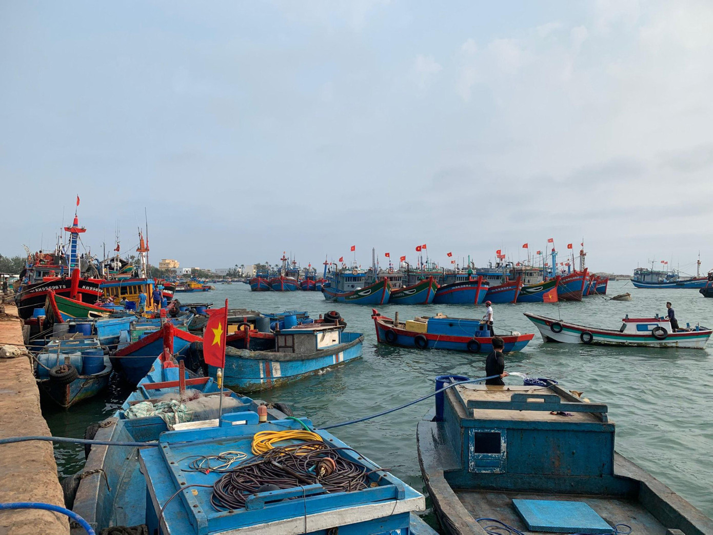 Nhiều tàu cá ngư dân Lý Sơn nằm bờ. Ảnh Nguyễn Ngọc