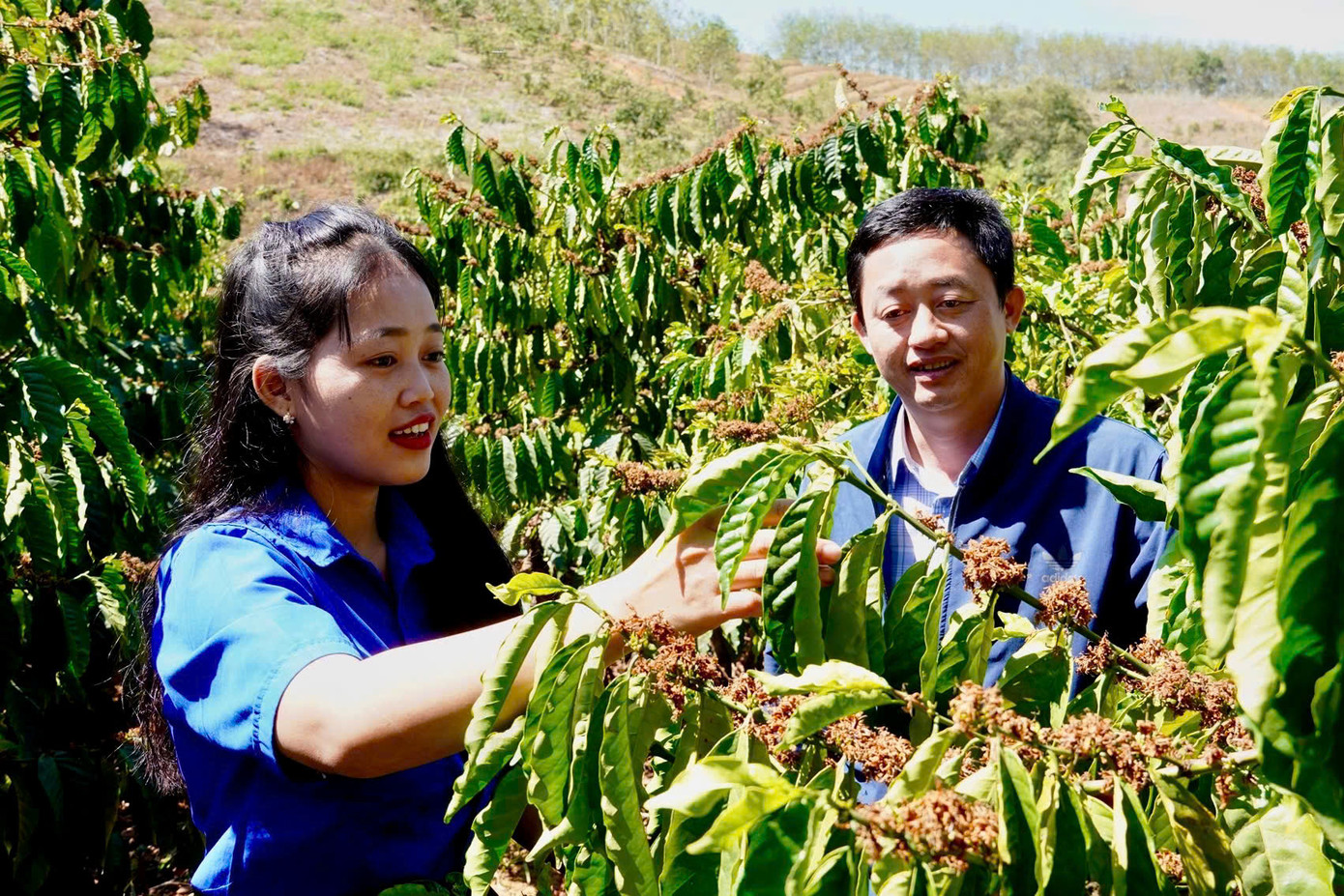 Đảng viên, đoàn viên Y Lim (bên trái) luôn đi đầu trong các hoạt động của thôn và phát triển kinh tế gia đình Đảng viên, đoàn viên Y Lim (bên trái) luôn đi đầu trong các hoạt động của thôn và phát triển kinh tế gia đình