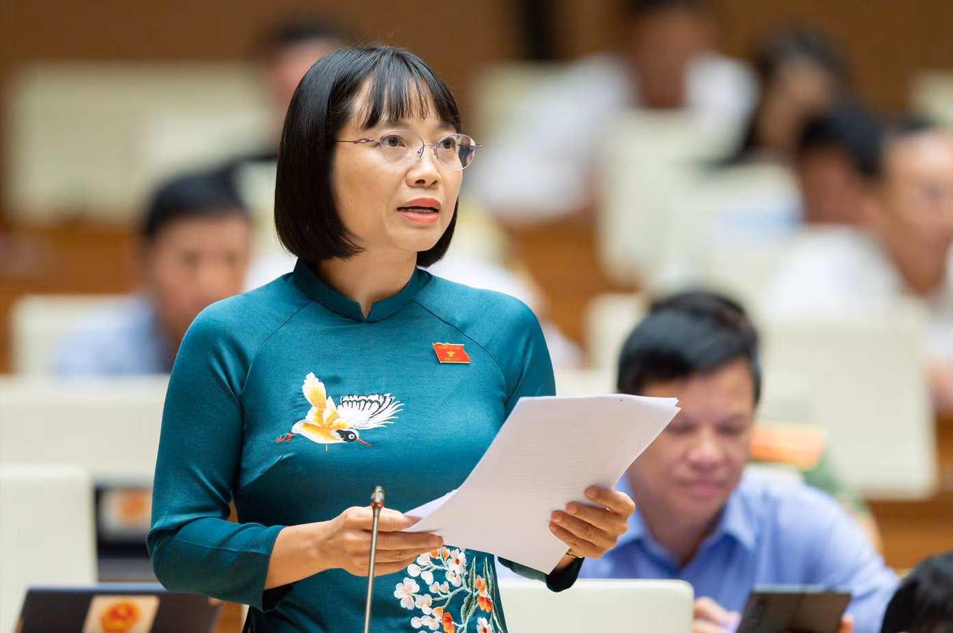 Đại biểu Nguyễn Thị Việt Nga (Đoàn Hải Dương)