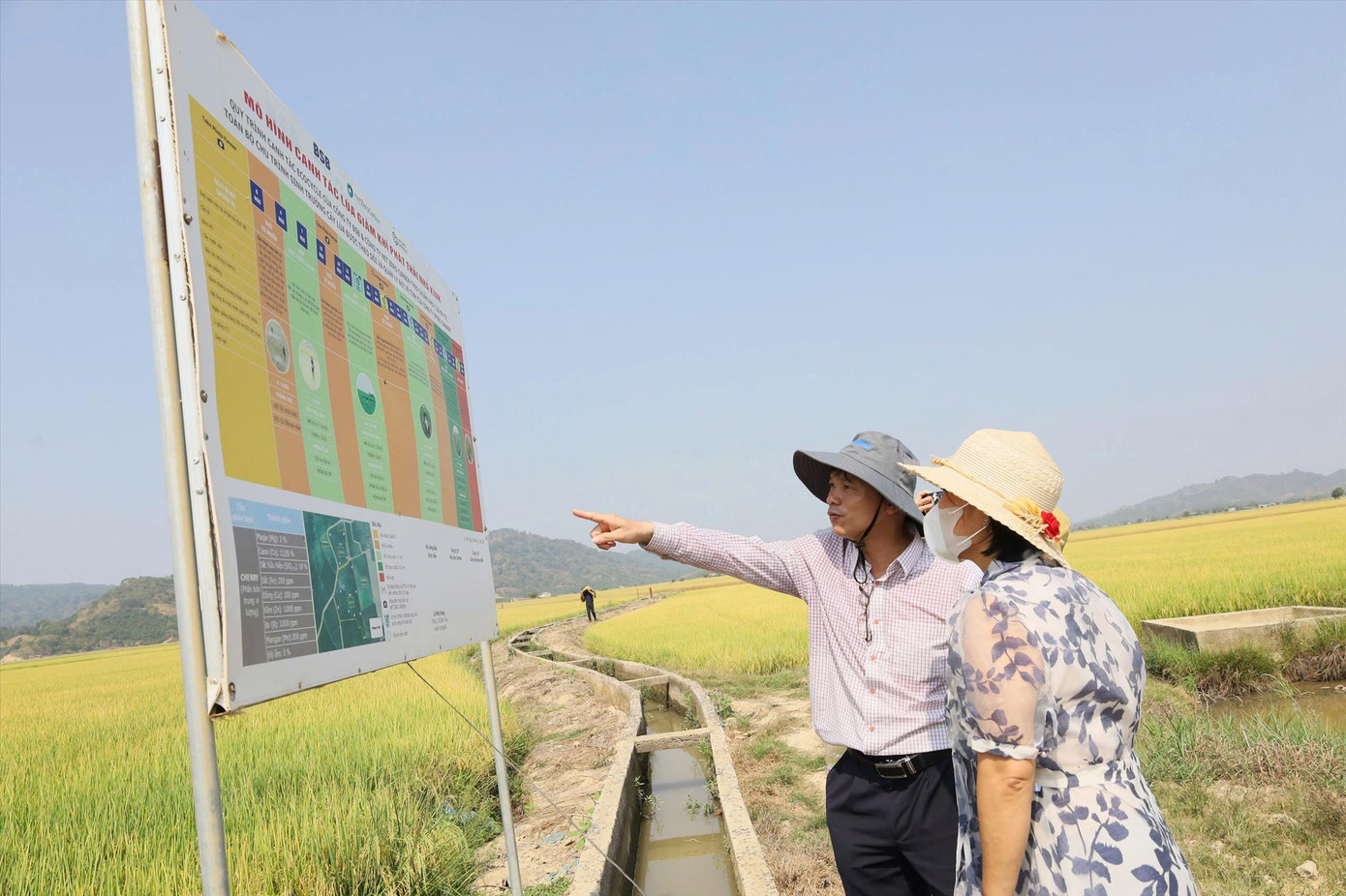 Mô hình trồng lúa giảm phát thải, tăng năng suất ở Đắk Lắk Mô hình trồng lúa giảm phát thải, tăng năng suất ở Đắk Lắk