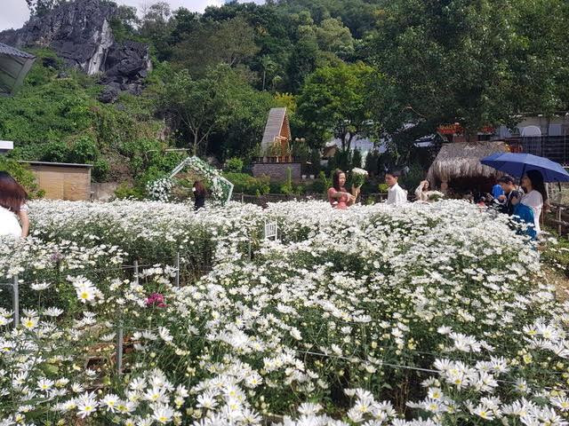 Phía bên ngoài khu di tích Động Tiên Sơn được doanh nghiệp đầu tư trồng hoa Phía bên ngoài khu di tích Động Tiên Sơn được doanh nghiệp đầu tư trồng hoa