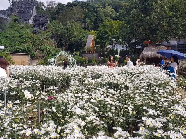 Phía bên ngoài khu di tích Động Tiên Sơn được doanh nghiệp đầu tư trồng hoa