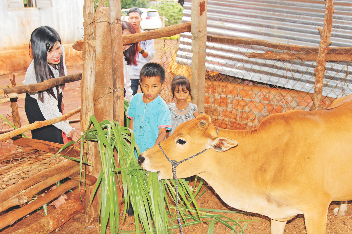 Các nhà hảo tâm trao bò giống cho gia đình của một học sinh nghèo học giỏi ở xã Gla, huyện Đak Đoa