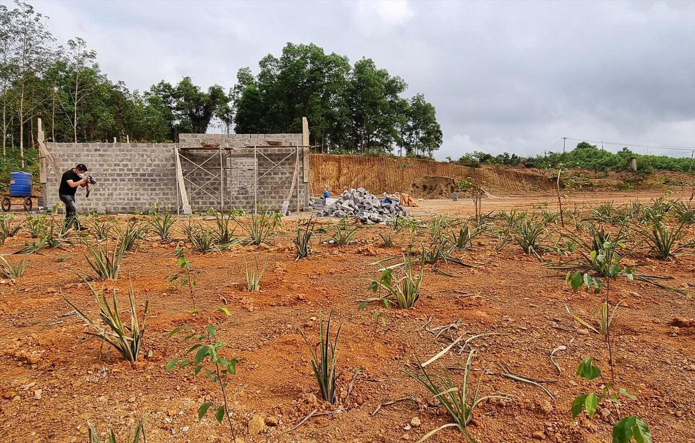 Một ngôi nhà xây dựng dang dở và trồng cây trái phép ở sát đường Hồ Chí Minh đoạn qua thôn Bến Hà, xã Linh Trường, huyện Gio Linh Một ngôi nhà xây dựng dang dở và trồng cây trái phép ở sát đường Hồ Chí Minh đoạn qua thôn Bến Hà, xã Linh Trường, huyện Gio Linh