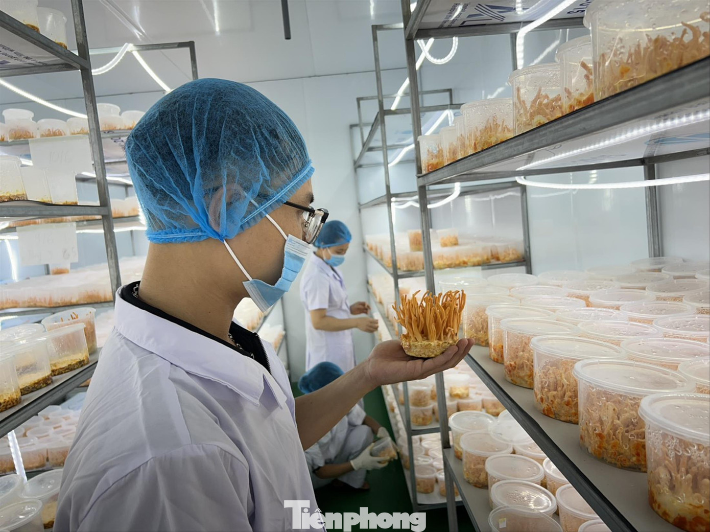 Cơ sở sản xuất đông trùng hạ thảo của anh Nguyễn Đăng Việt ở phường Khắc Niệm, thành phố Bắc Ninh