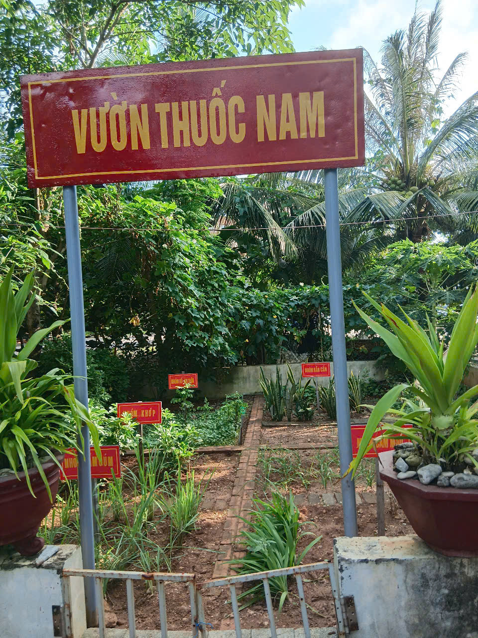 Vườn thuốc nam của cán bộ, bác sĩ Bệnh xá đảo Trường Sa Vườn thuốc nam của cán bộ, bác sĩ Bệnh xá đảo Trường Sa