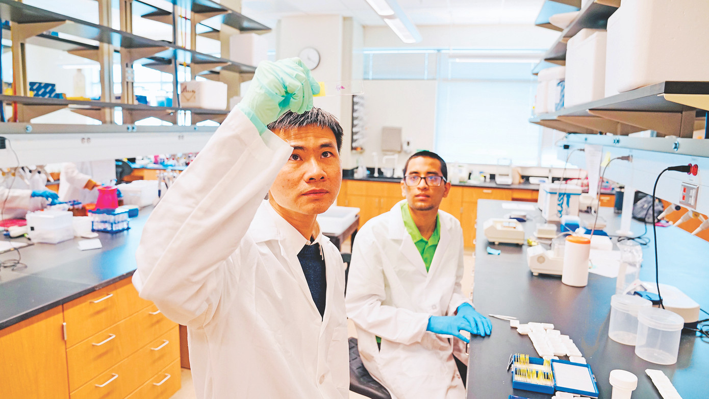 GS Hùng và cộng sự tại phòng thí nghiệm mang tên anh ở Mỹ. GS Hùng và cộng sự tại phòng thí nghiệm mang tên anh ở Mỹ.