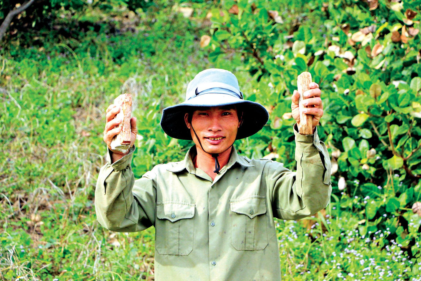 Anh Chuyển nhặt được nhiều viên gỗ hoá thạch (khoảng 100 nghìn đồng/viên) khi đi chăn bò