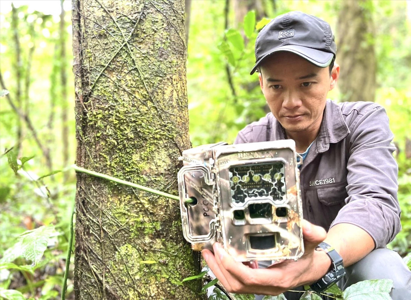 Thạc sĩ Nguyễn Ái Tâm.