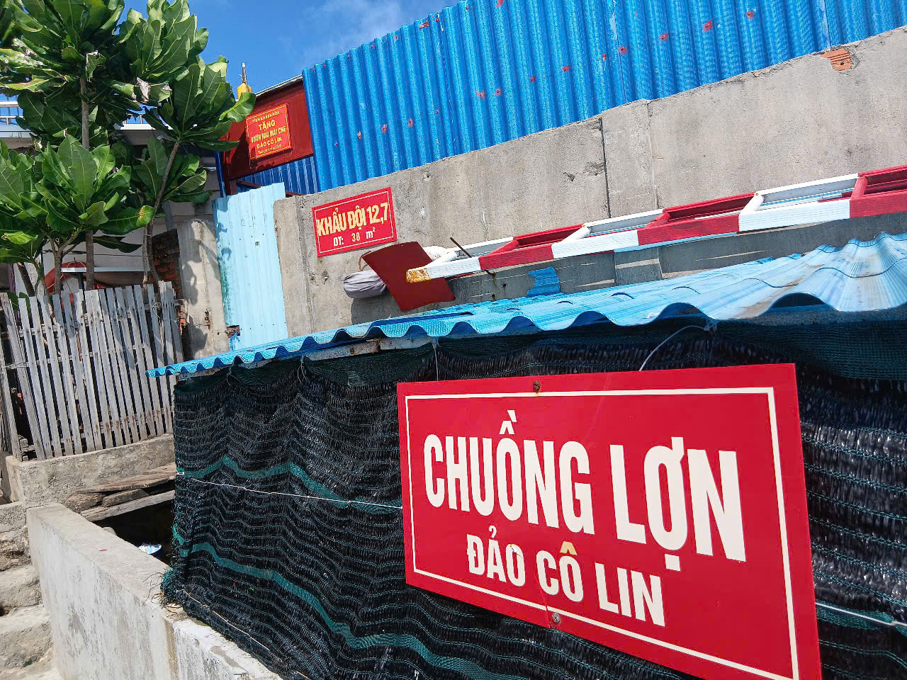 Chuyện 'thực túc binh cường' ở Trường Sa ảnh 2