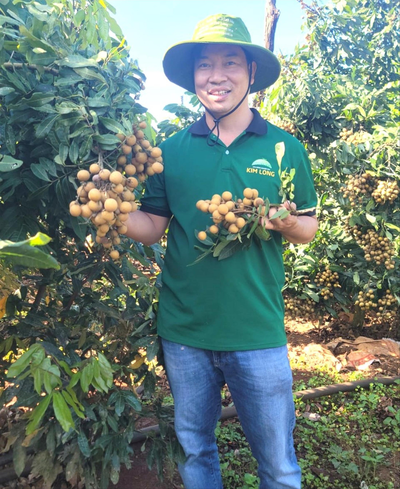 Anh Quyết chủ nhiệm HTX Nông nghiệp công nghệ cao Kim Long Anh Quyết chủ nhiệm HTX Nông nghiệp công nghệ cao Kim Long