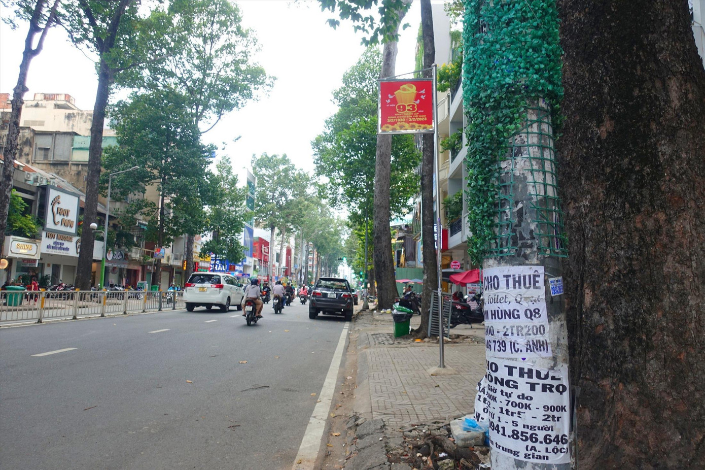 Việc quấn cỏ nhân tạo vẫn không thể ngăn chặn triệt để hành vi dán quảng cáo rao vặt ảnh: Hữu Huy