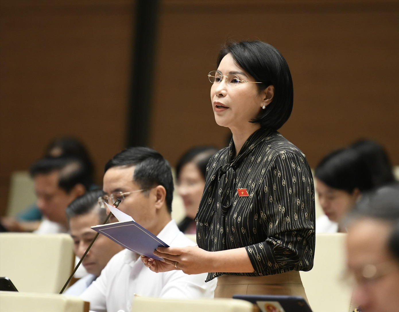 ĐBQH Trần Thị Nhị Hà