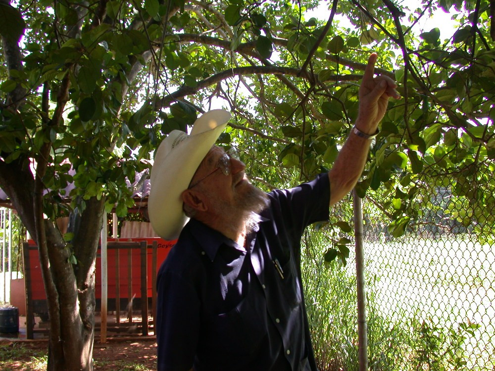 Ramon Castro trong vườn nhà