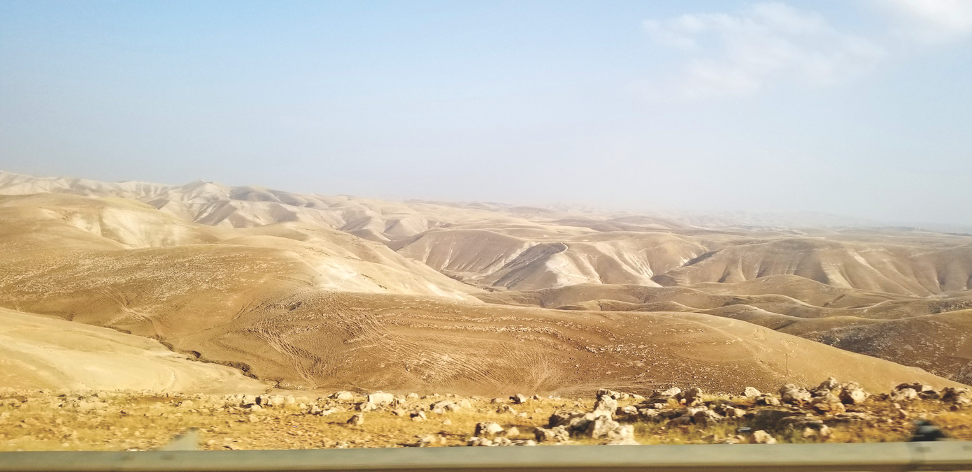 Phong cảnh Palestine: Nguyên thủy, khốc liệt, kiêu ngạo, mặc dù trông rất cằn