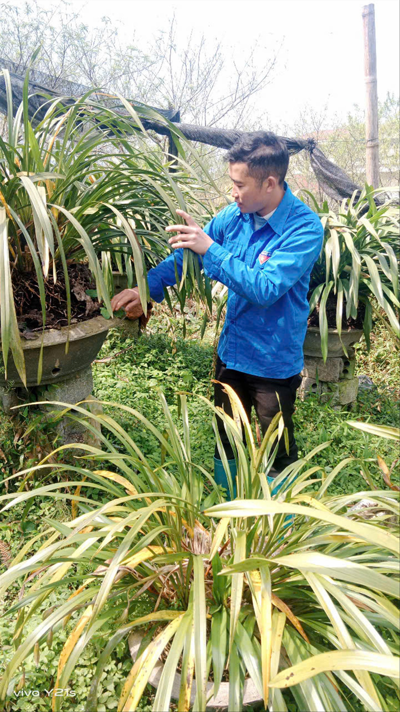 Anh Sùng A Sa bên chậu địa lan đầy tâm huyết của mình