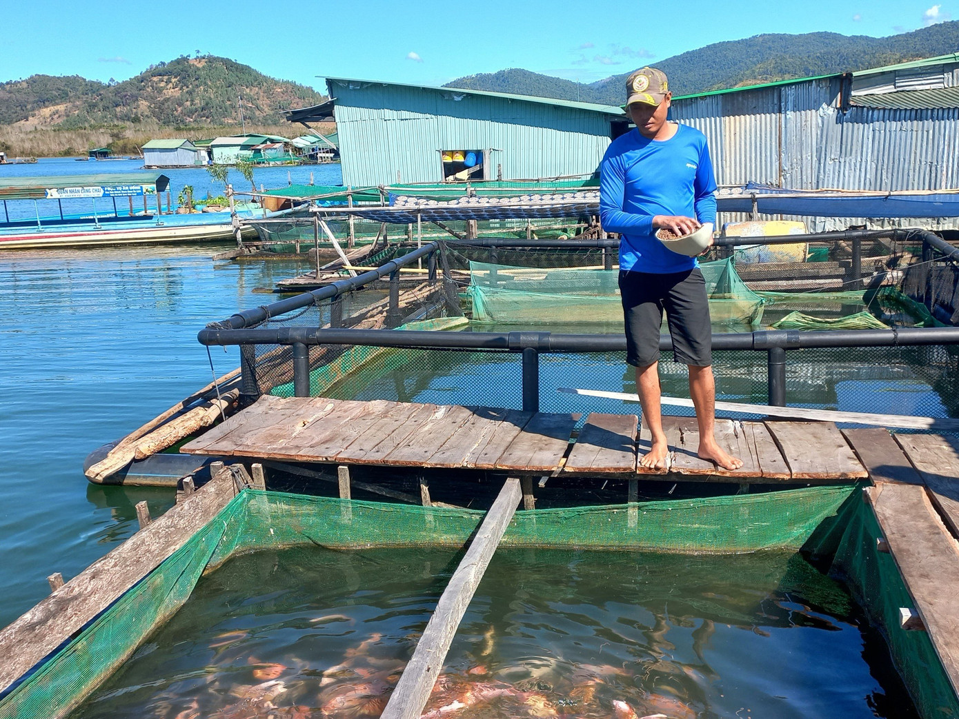 Đa dạng các loại cá được nuôi tại làng chài Sê San Đa dạng các loại cá được nuôi tại làng chài Sê San