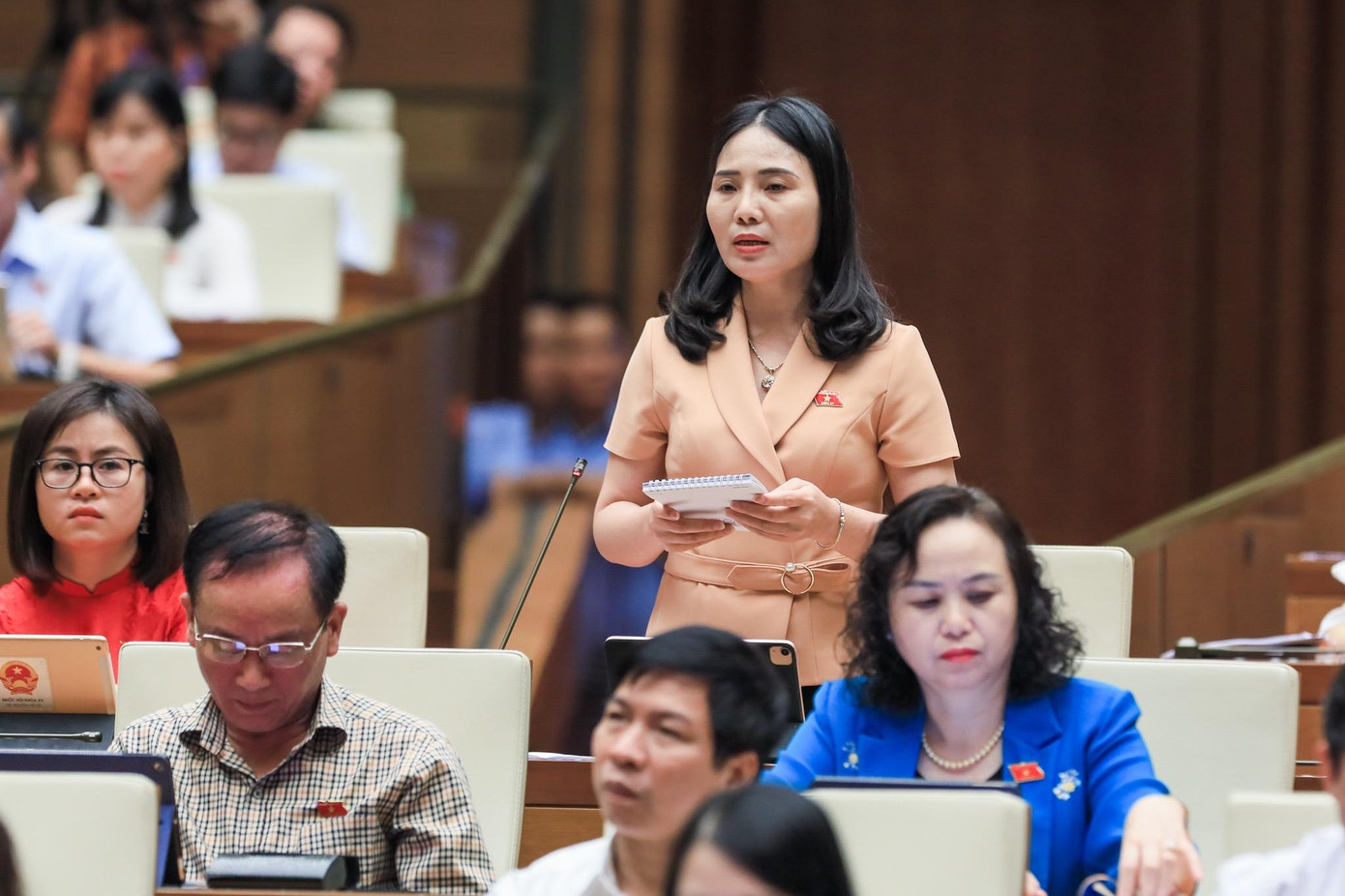 ĐBQH chất vấn các thành viên Chính phủ ảnh: như ý ĐBQH chất vấn các thành viên Chính phủ ảnh: như ý