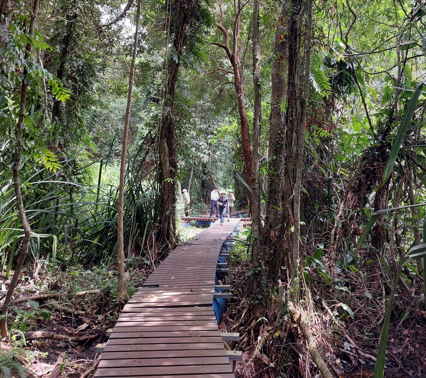 Con đường tuần tra được lắp cầu phao, mặt lót ván