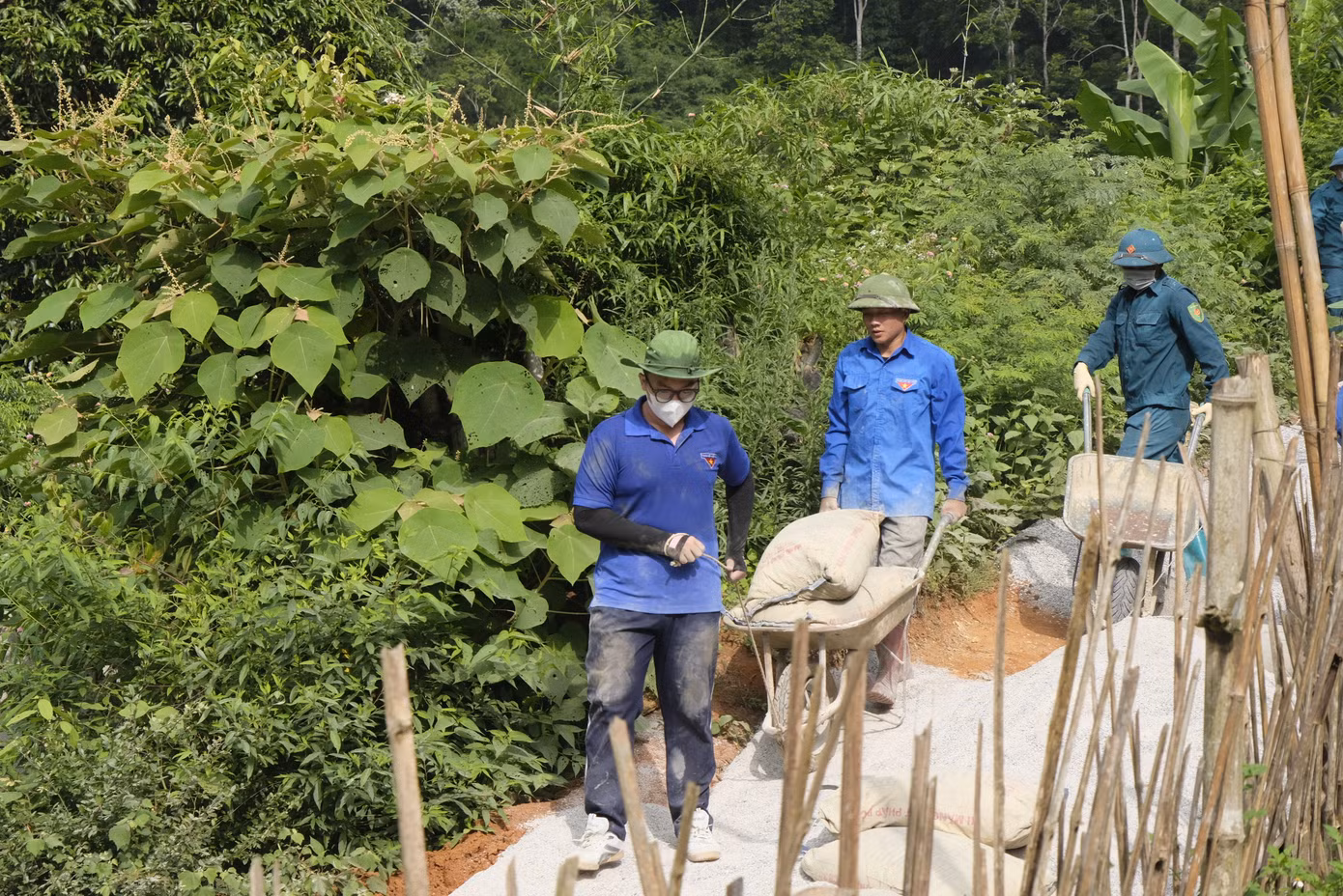Sinh viên Ngoại thương góp sức làm đường bê tông tại thôn Nà Múc. Ảnh: Châu Linh