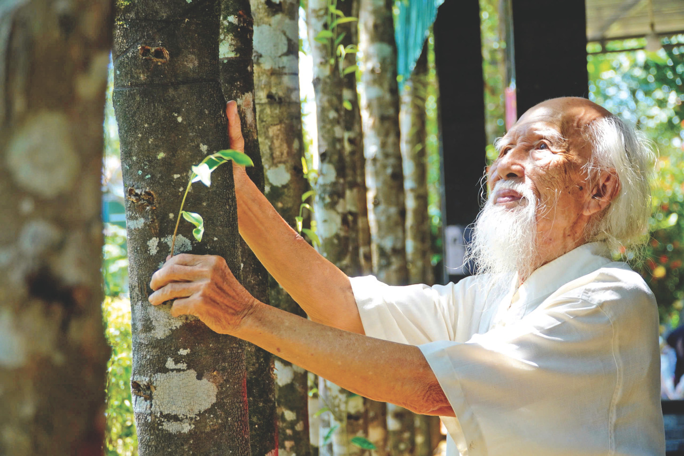 Cụ Đinh Công Ánh, người tiên phong đưa nghề chế tác trầm về với xã Phúc Trạch