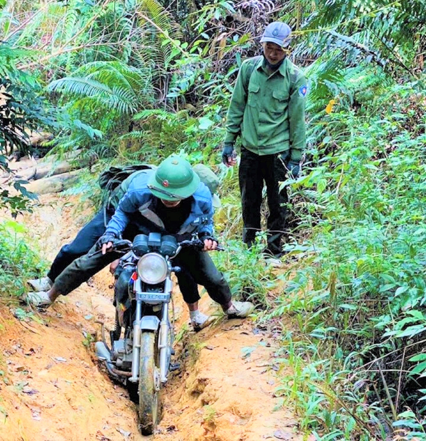 Đường đi tuần tra của người giữ rừng Đường đi tuần tra của người giữ rừng