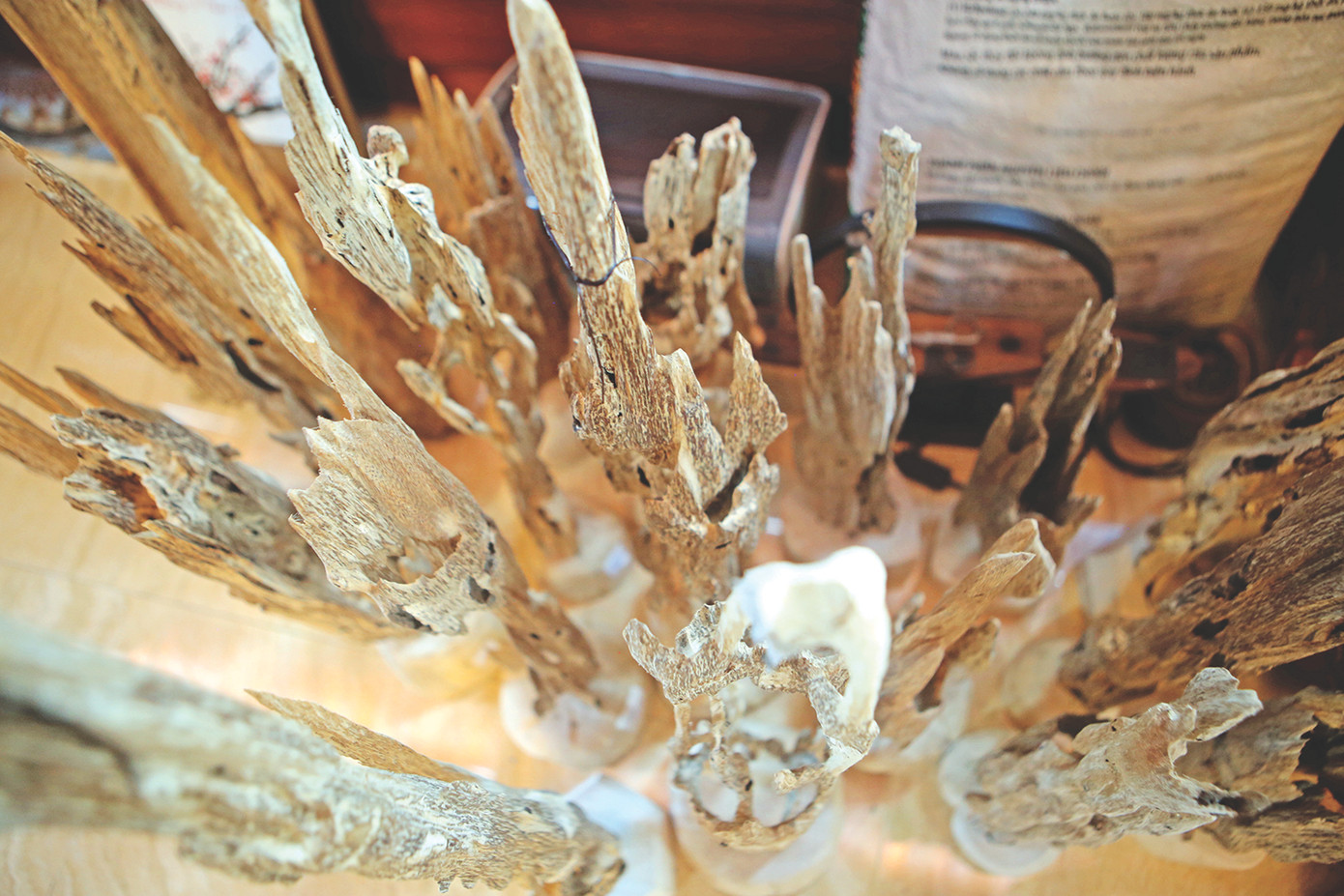 Những sản phẩm trầm được chế tác từ dó trầm có giá trị cao