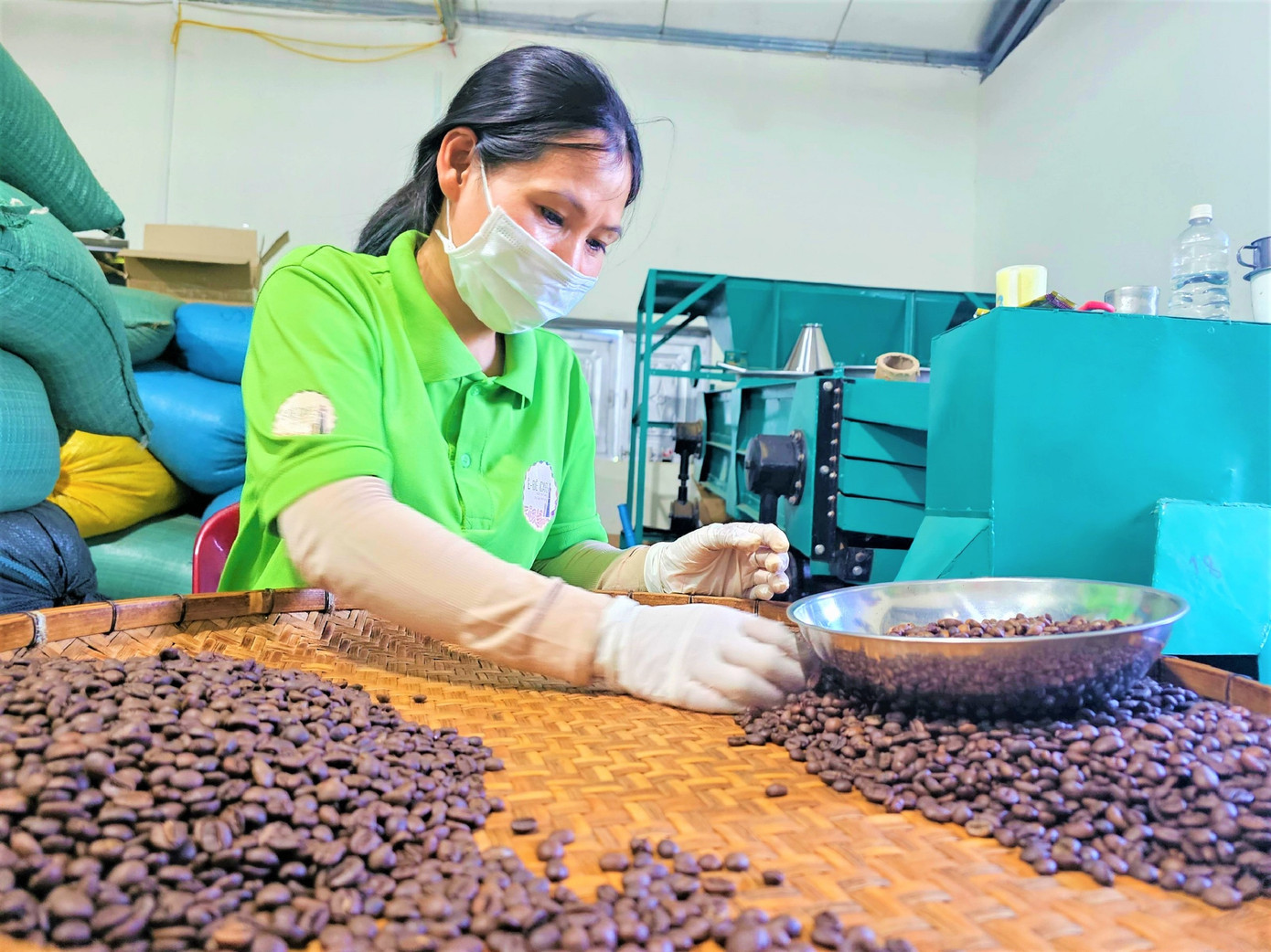 Nhân viên Ê Đê Café phân loại những hạt cà phê không đạt