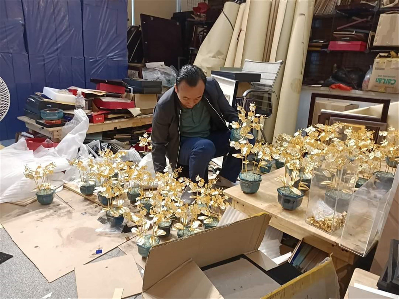 Cửa hàng tất bật chuẩn bị cây Lan vàng bán cho khách Cửa hàng tất bật chuẩn bị cây Lan vàng bán cho khách